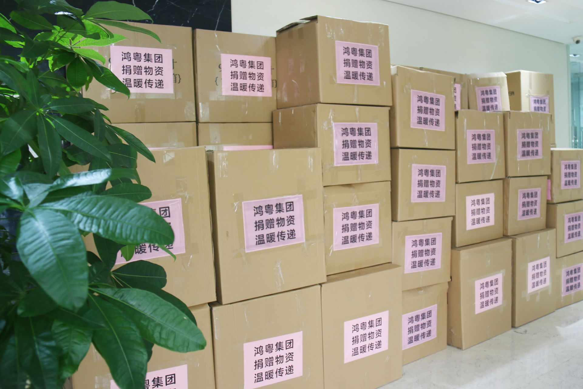 开云体育·(KAIYUN SPORTS)官方网站-开云(中国)公益回顾丨家国同欢月同圆 温暖满载甘孜州(图1)